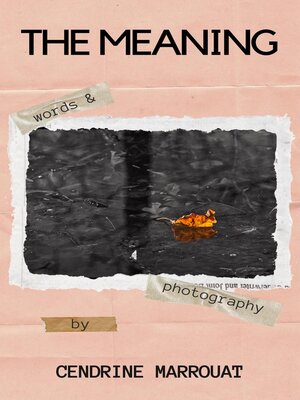cover image of The Meaning
